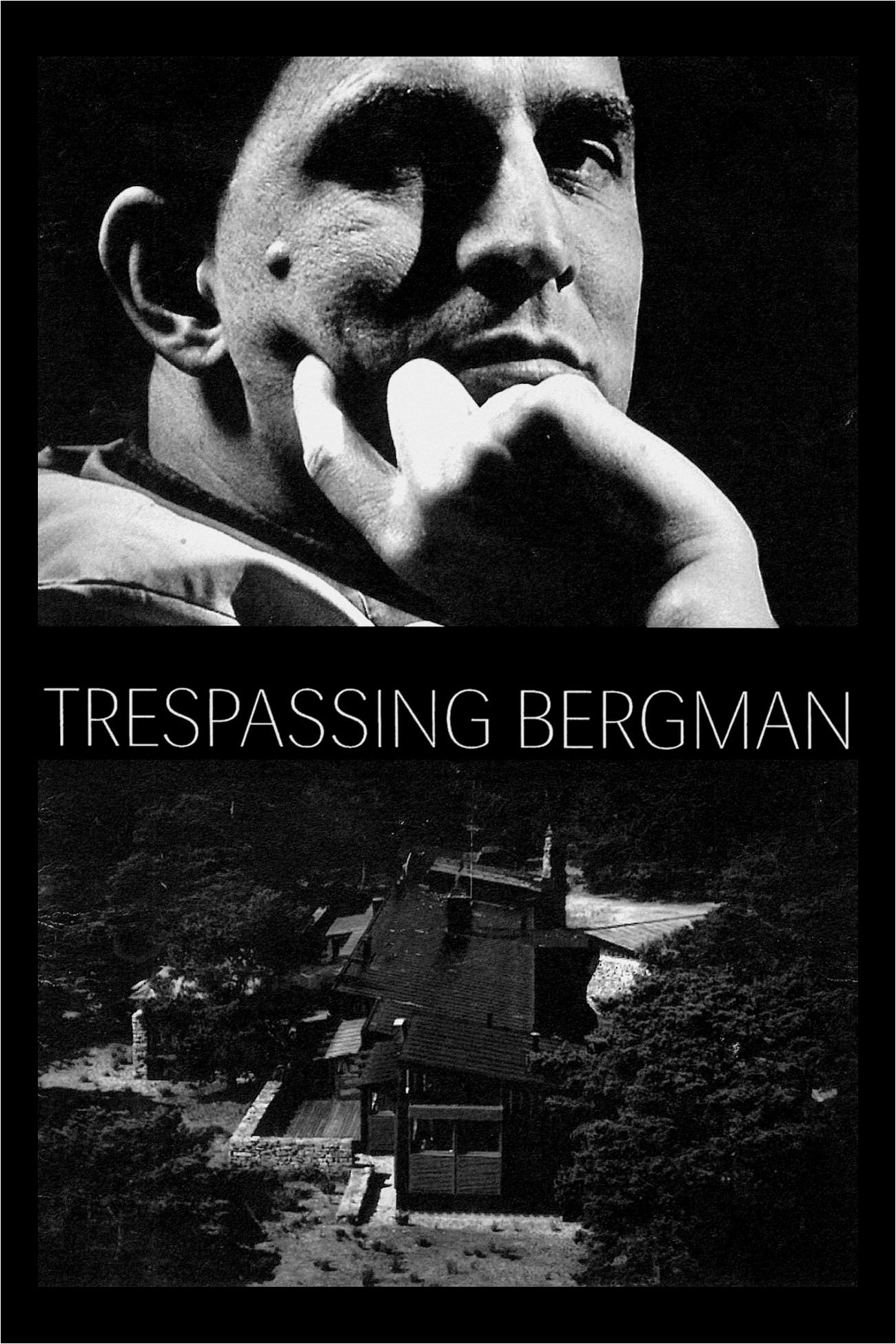 Постер Trespassing Bergman
